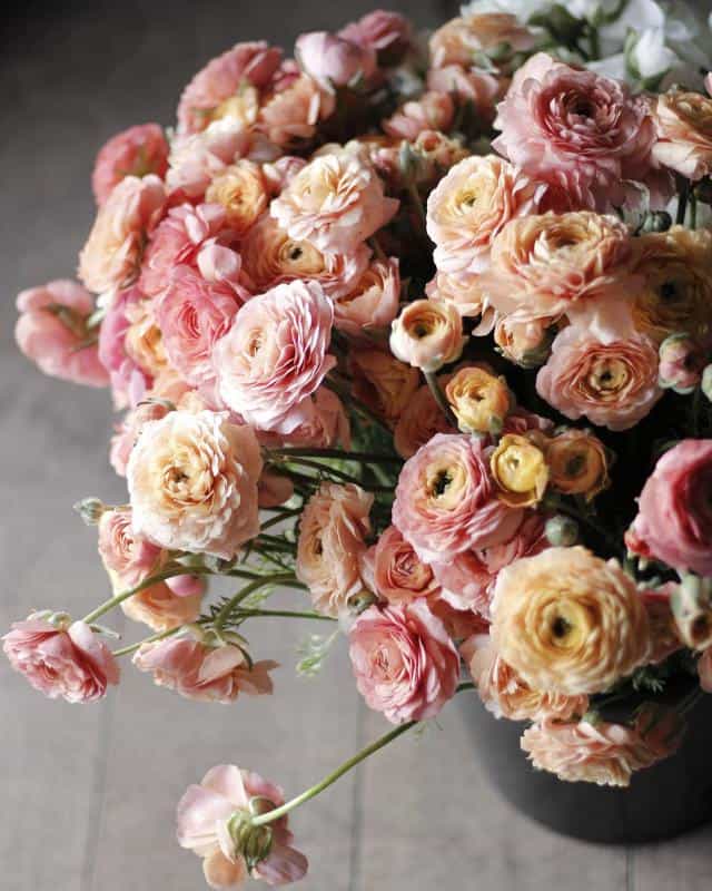Ranunculus With Roses Shape 1