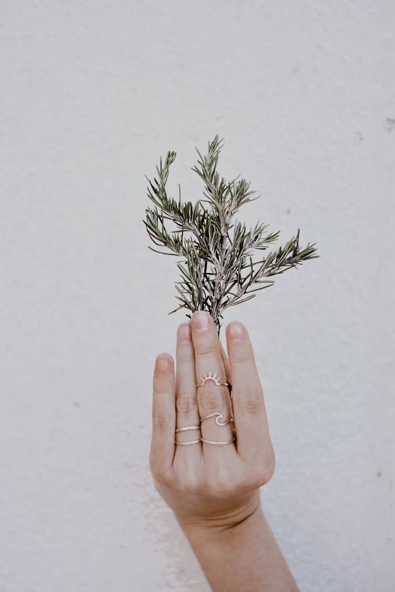 Spiritual Meaning of Rosemary